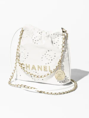 2025 Spring and Summer Preview Series CHANEL 22 Mini Handbag