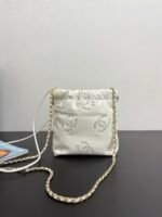 2025 Spring and Summer Preview Series CHANEL 22 Mini Handbag